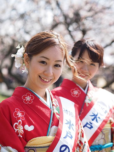 春風