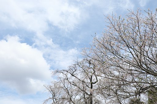 雲