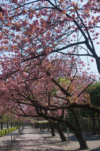 M.ZUIKO 12-50mm F3.5-6.3 EZ