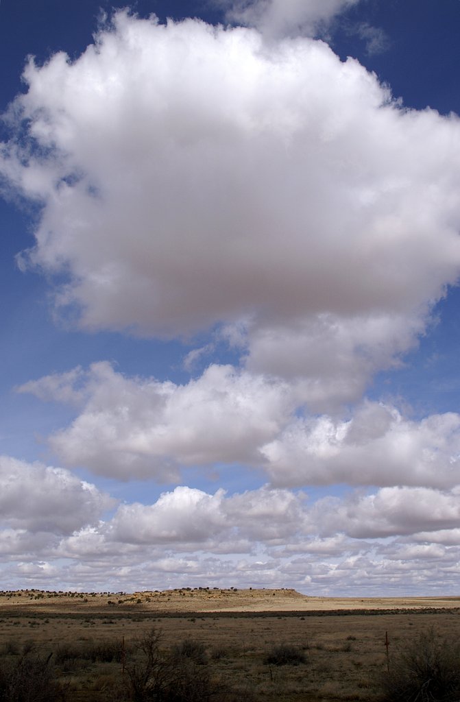 【天】雲