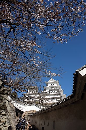 白鷺城に春の便り