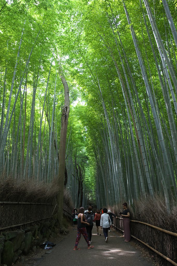 竹の小道