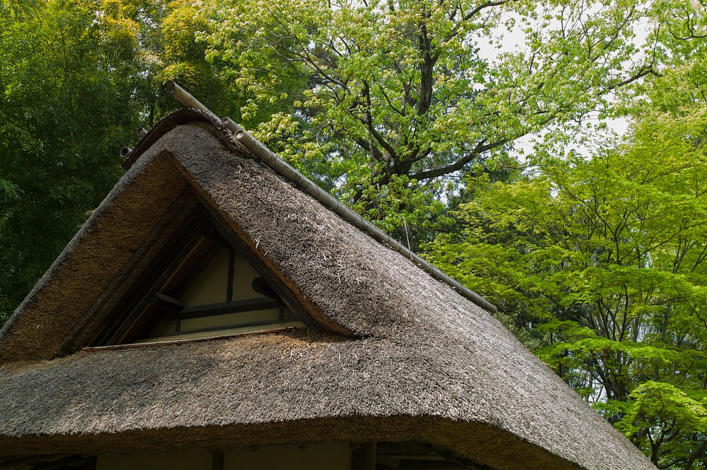 SUMMILUX-M 50mm F1.4 ASPH