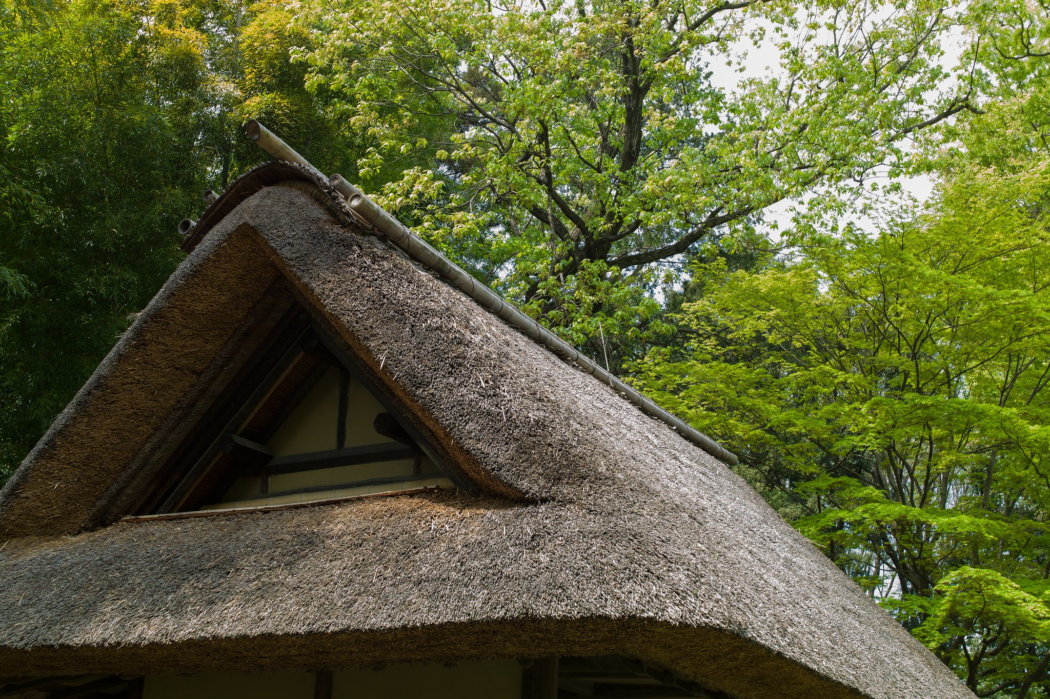 SUMMILUX-M 50mm F1.4 ASPH