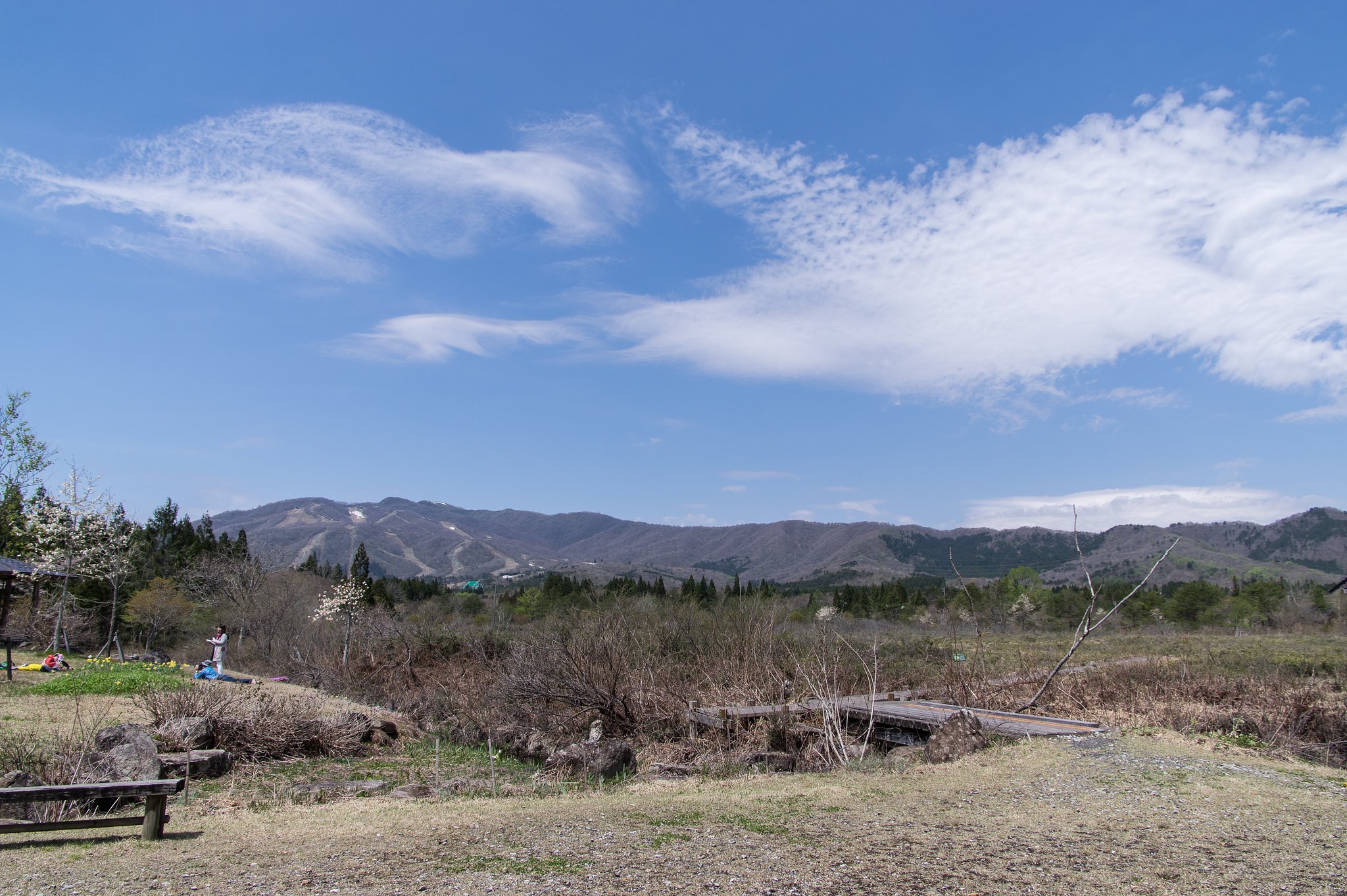 ひるがの湿原植物園