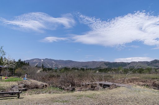 ひるがの湿原植物園