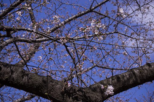 一足お先に（その２）