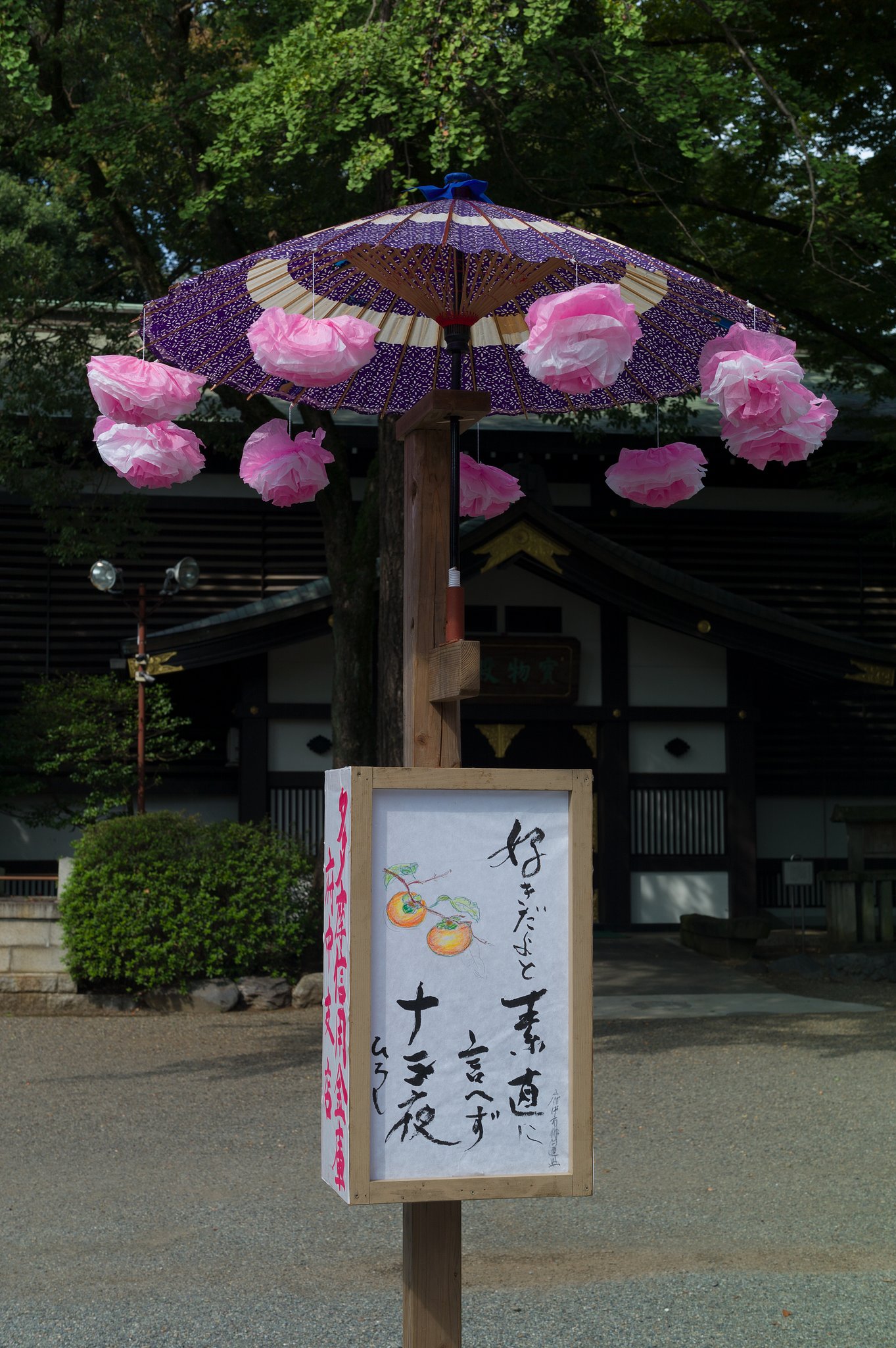 SUMMILUX-M 50mm F1.4 ASPH