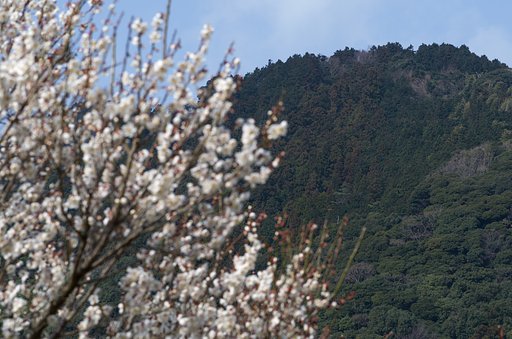 笑う