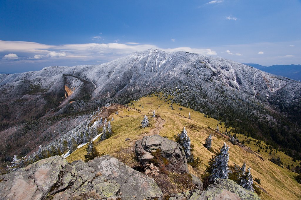 振り返れば四阿山