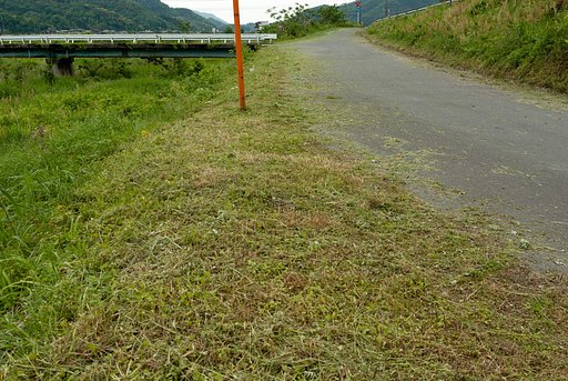 草刈正雄の日。