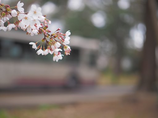 季節の行く先