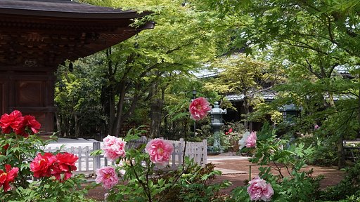 豪徳寺にて