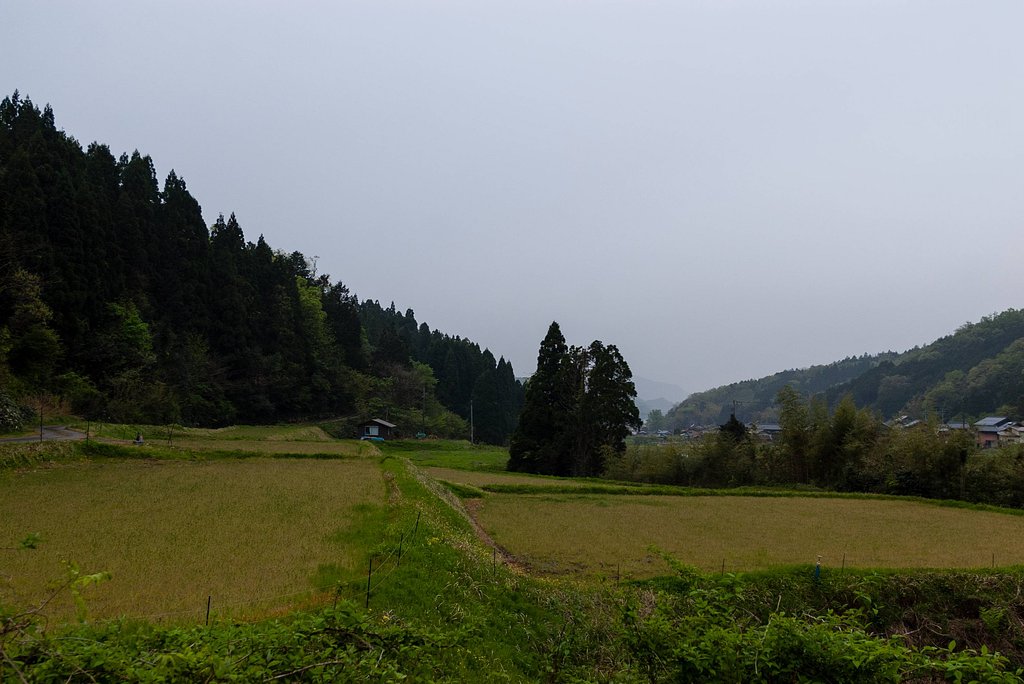 小雨振り