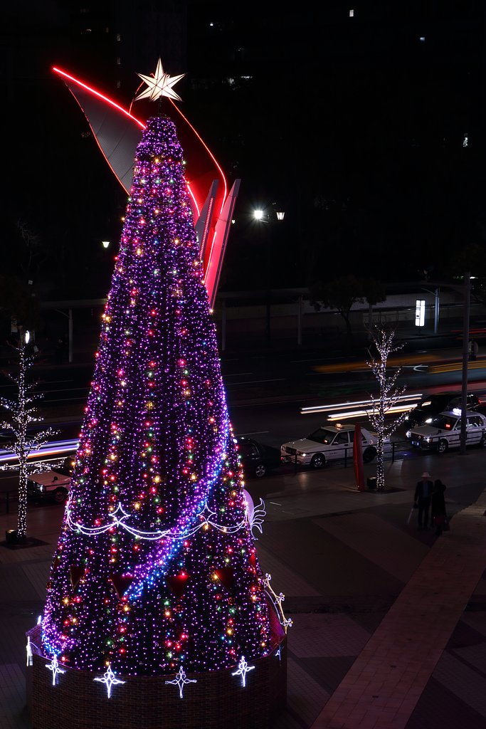 【purple】パープル・ツリー