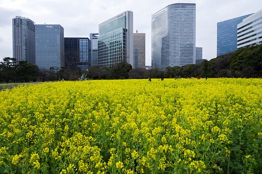 ハイブリット