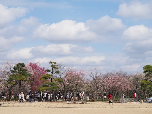 梅園の賑わい