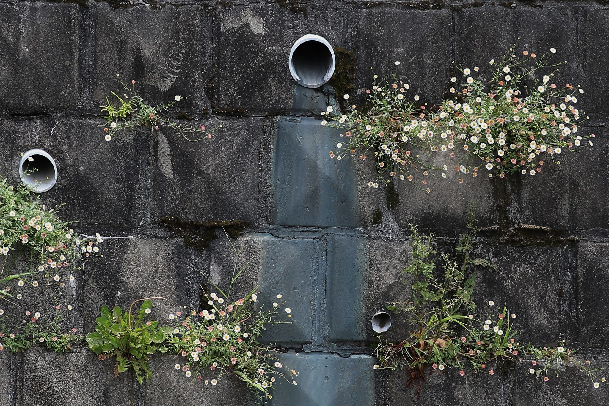 隙間に生きる