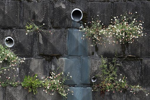 隙間に生きる