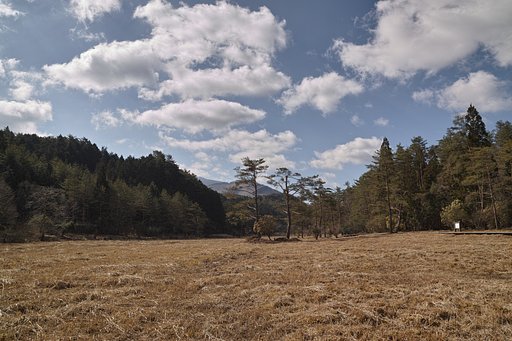 黒沢湿原その４
