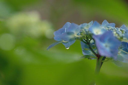 『光』水滴