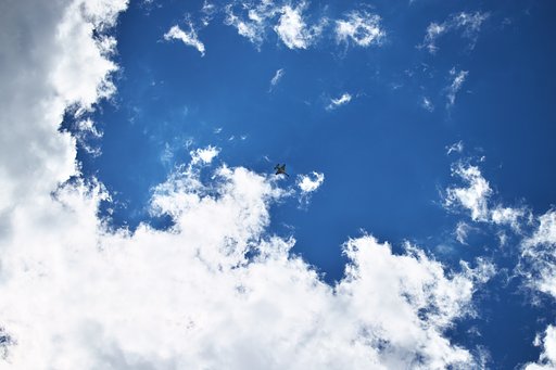 8月30日の写真