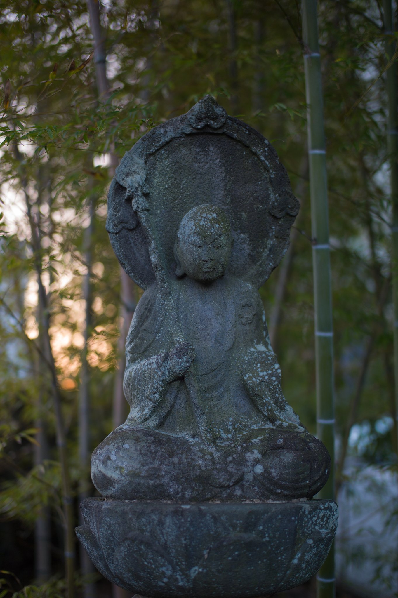 SUMMILUX-M 50mm F1.4 ASPH
