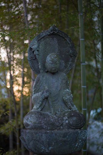 SUMMILUX-M 50mm F1.4 ASPH