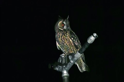 11月20日の写真