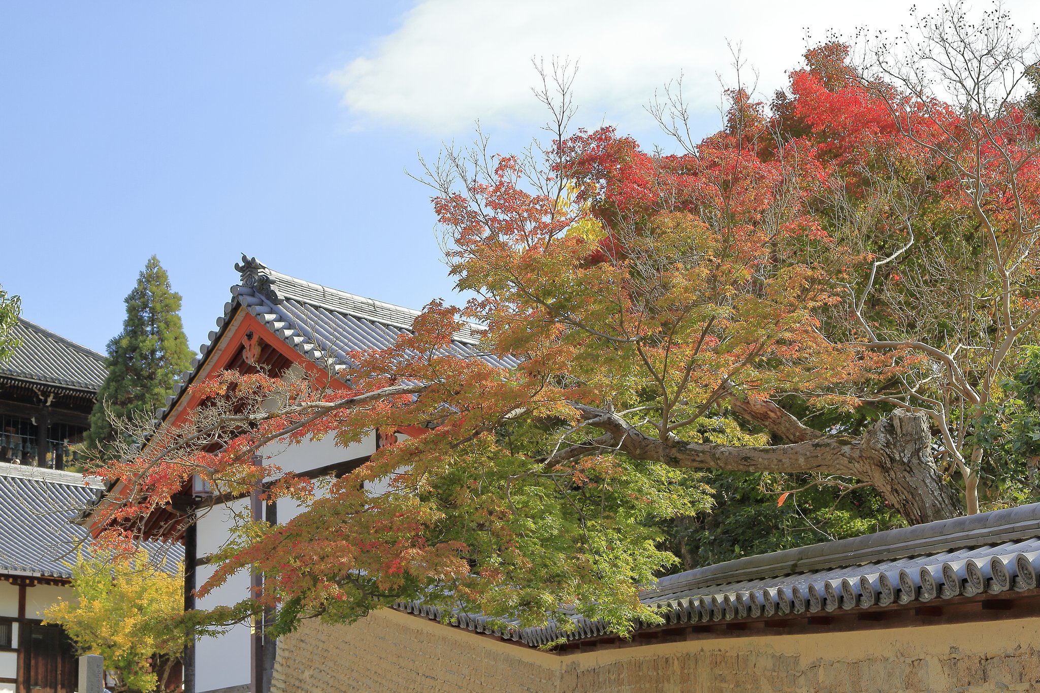 二月堂