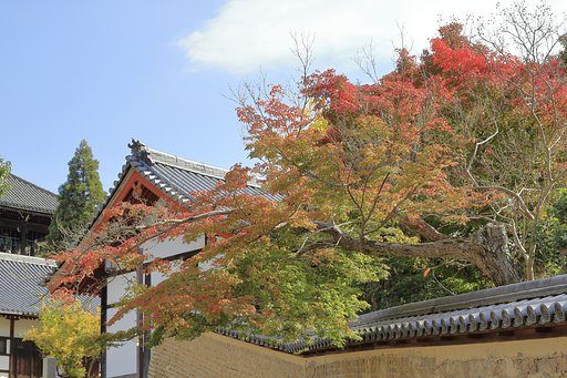 二月堂