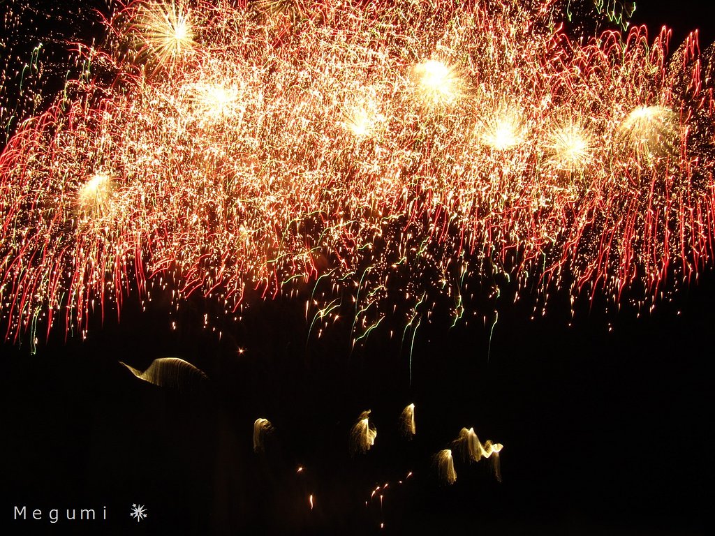 地元横須町花火大会で🎇を楽しみました