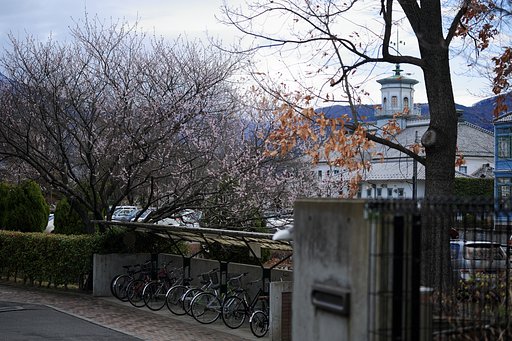 春休みの風景