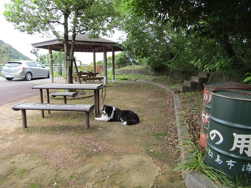 🐕命🐕　命を見守るのも命なんです