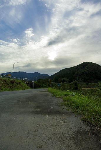 晴れの朝！