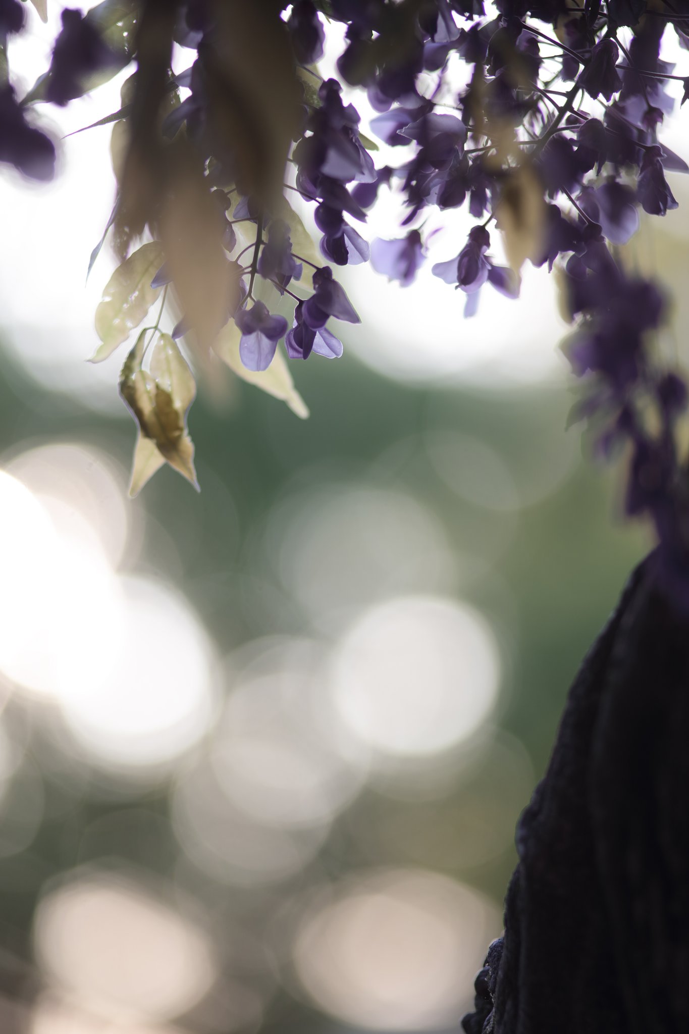 Y/C S180mmF2.8MMG 