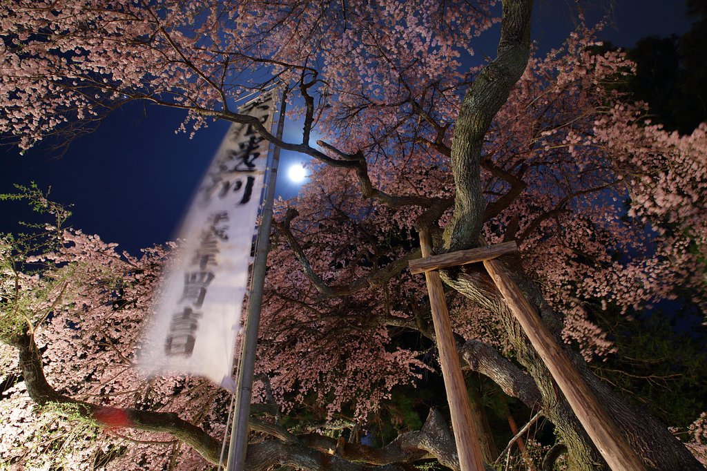 卯月夜風
