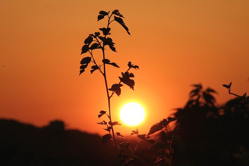 「春の夕日」