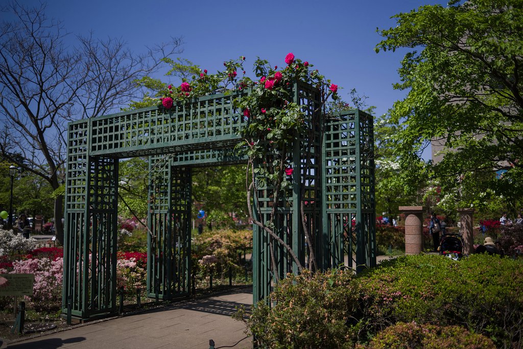 休日の公園