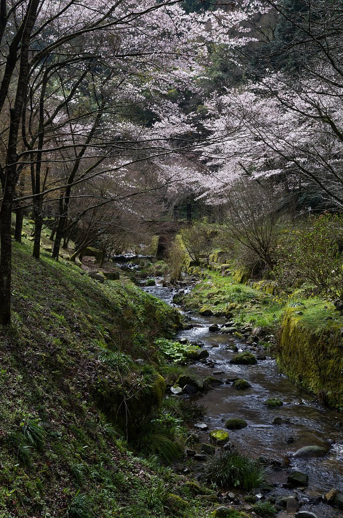 谷川