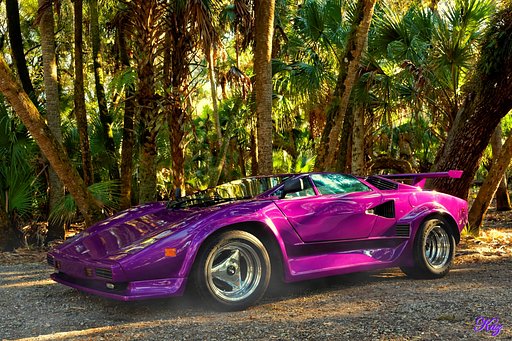 Fast & 【Purple】