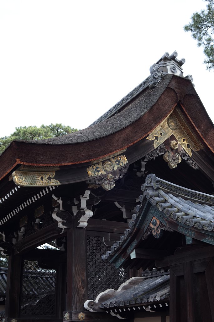 京都御所　春の一般公開