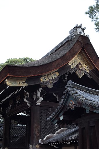 京都御所　春の一般公開