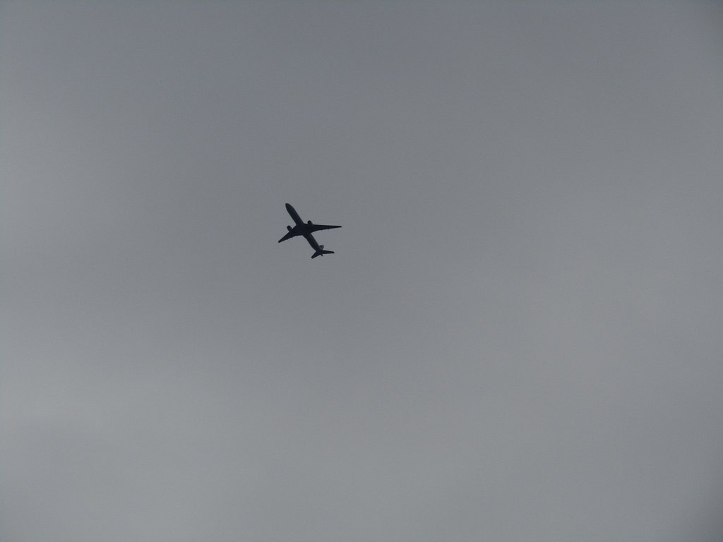 大空を独り占め　気持ちは最高です　