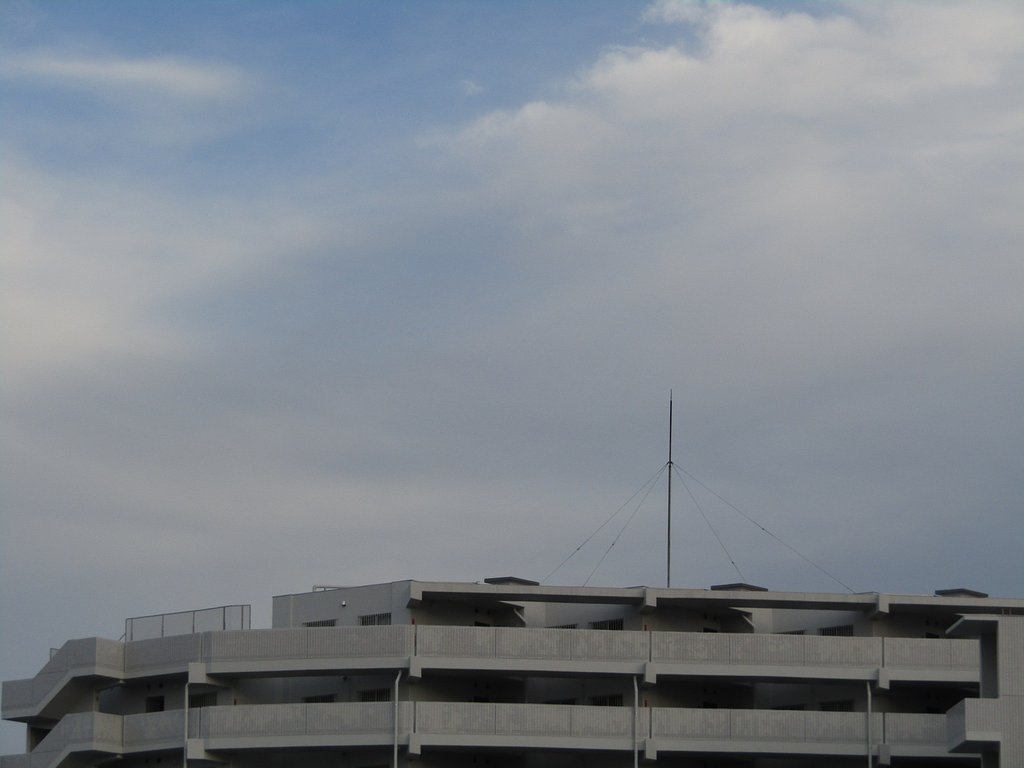 天気予報が当たりました　いい天気です