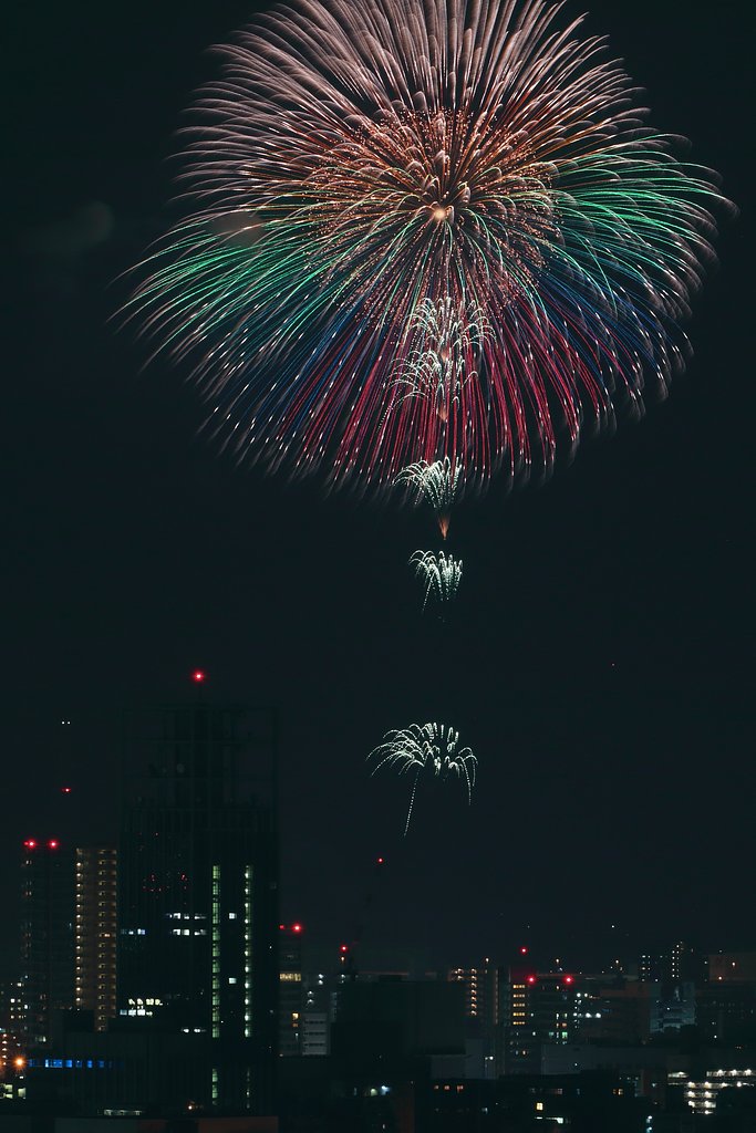 【命】刹那に咲く