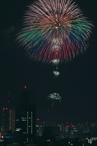【命】刹那に咲く