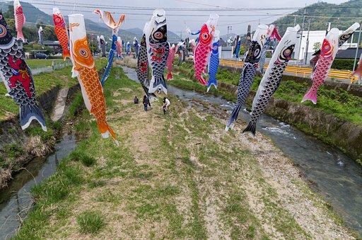 鯉のぼり