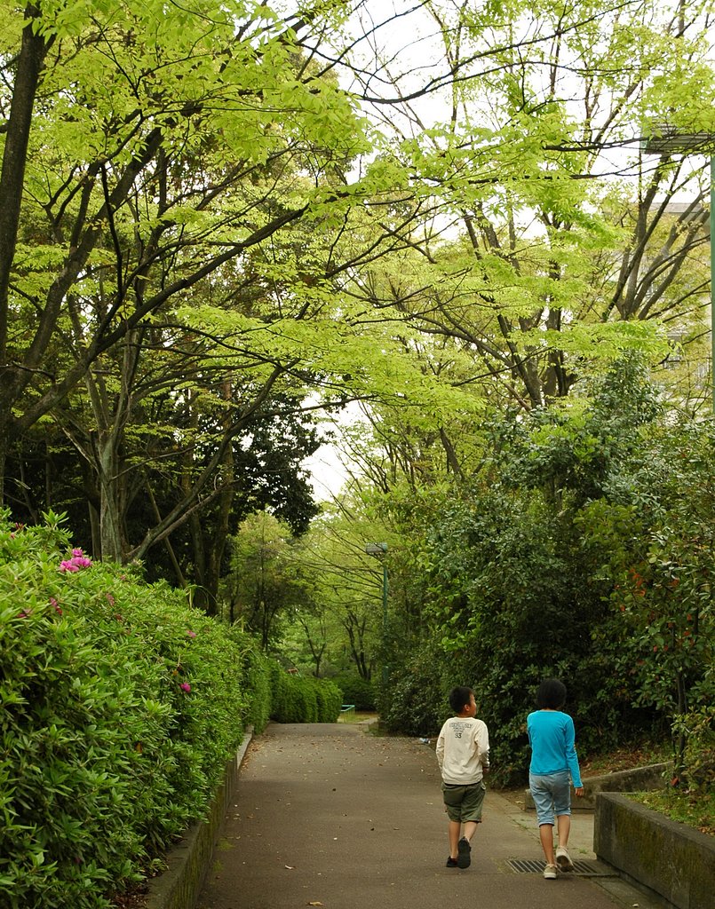 帰り道