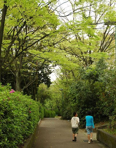 帰り道